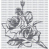 ROSAS