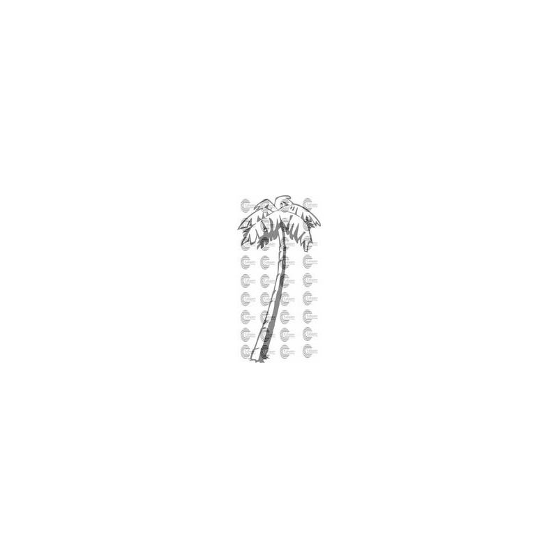 PALMERA
