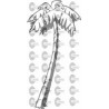 PALMERA