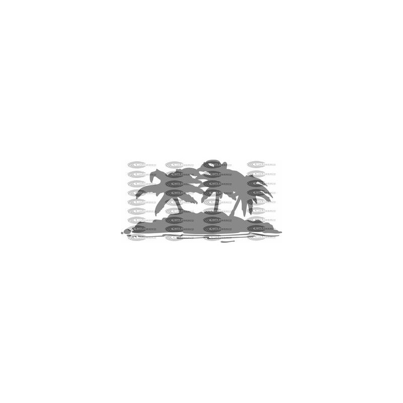 PALMERAS 002