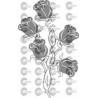 ROSAS