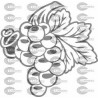 RACIMO UVAS
