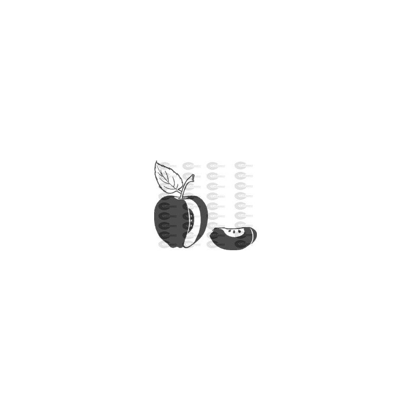 MANZANA