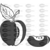 MANZANA