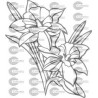 FLOR NARCISO