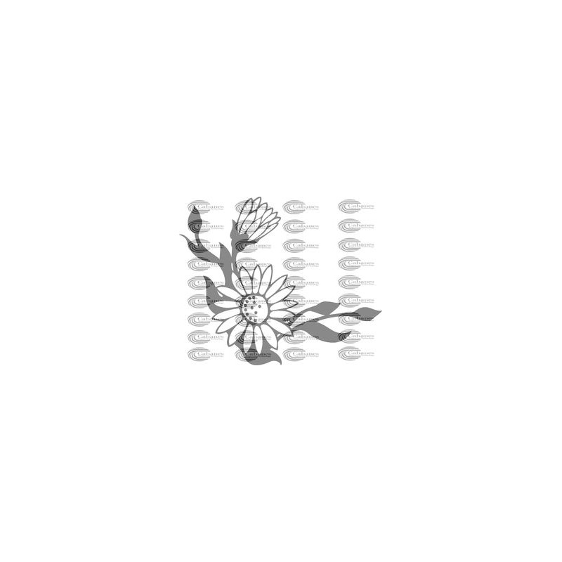 FLOR MARGARITA