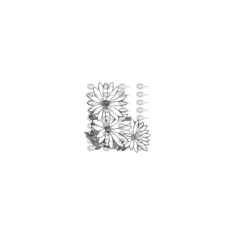FLOR MARGARITA 004