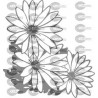 FLOR MARGARITA 004