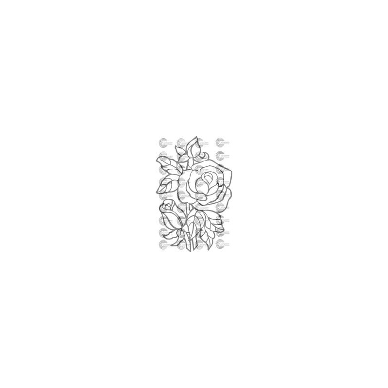 ROSAS 012