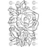 ROSAS 012