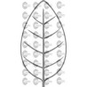 HOJA ARBOL
