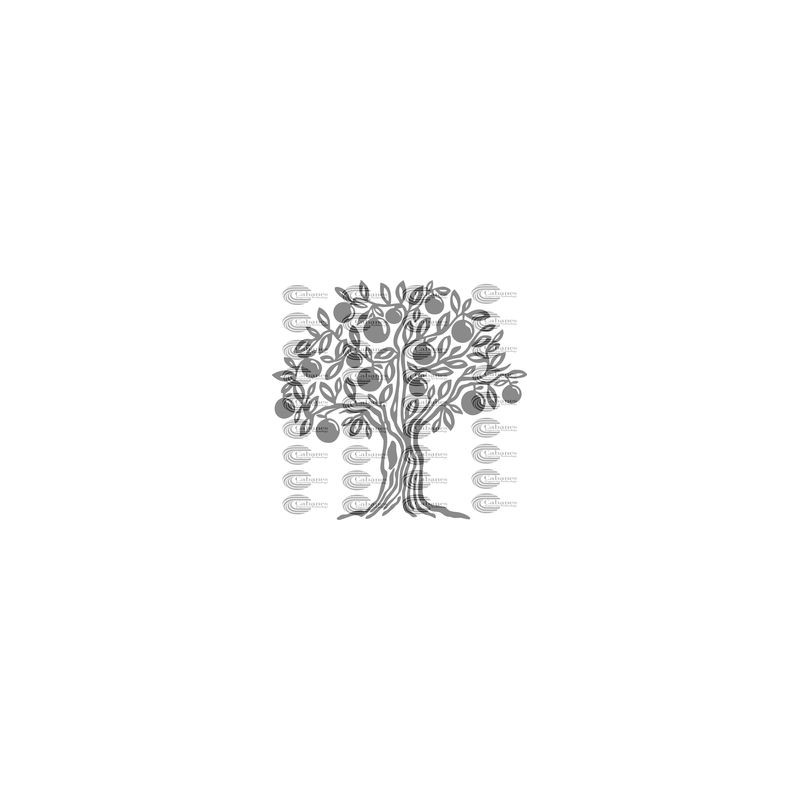 ARBOL NARANJO