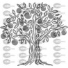 ARBOL NARANJO