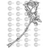 ROSA 007A