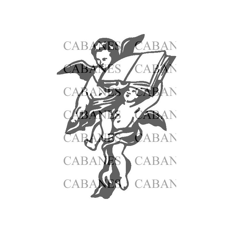 ANGEL LIBRO
