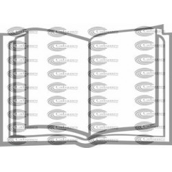 LIBRO ABIERTO