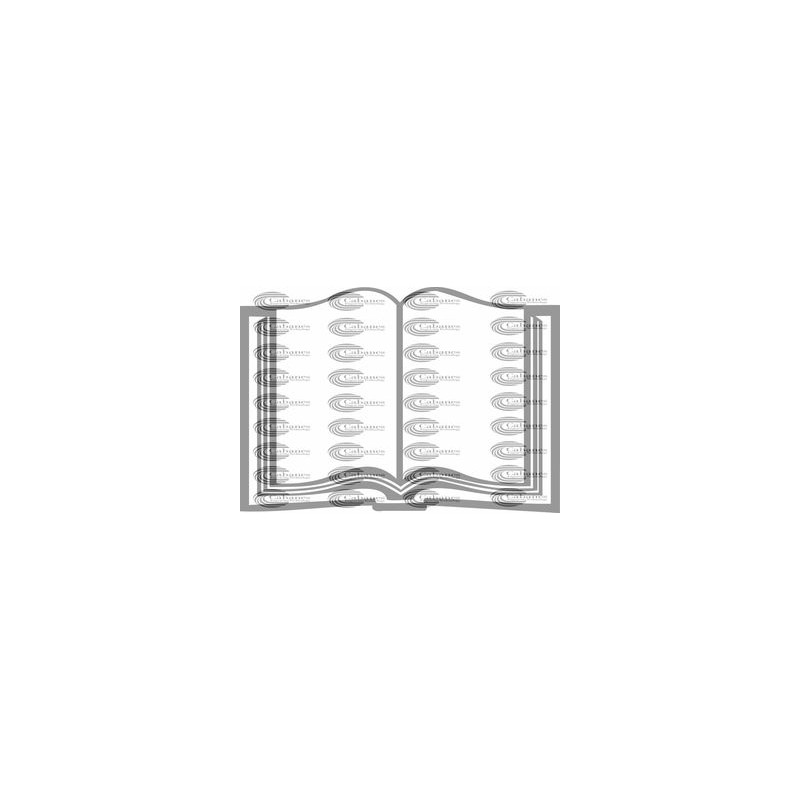 LIBRO ABIERTO