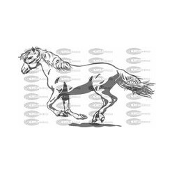 CABALLO