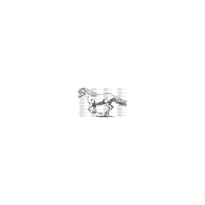 CABALLO