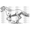 CABALLO