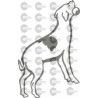 PERRO 001