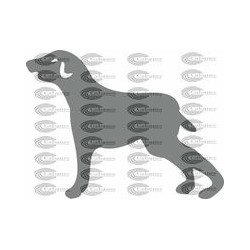 PERRO 002