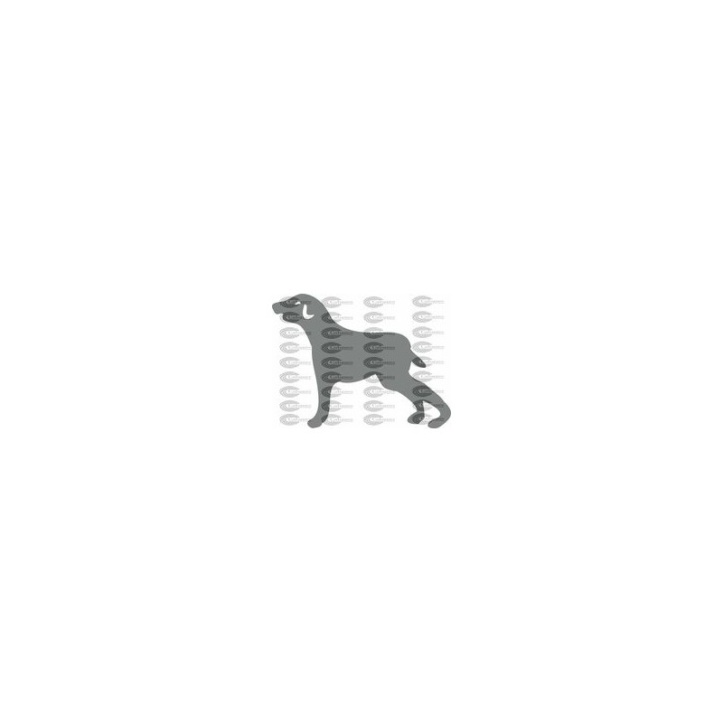 PERRO 002