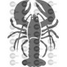 LANGOSTA CANGREJO