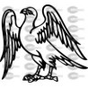 AGUILA
