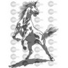 CABALLO