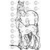 CABALLOS