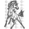 CABALLO