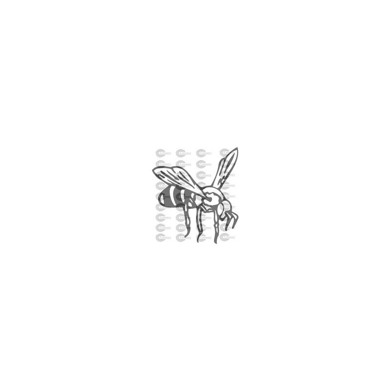 ABEJA