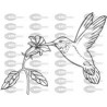 COLIBRI FLOR