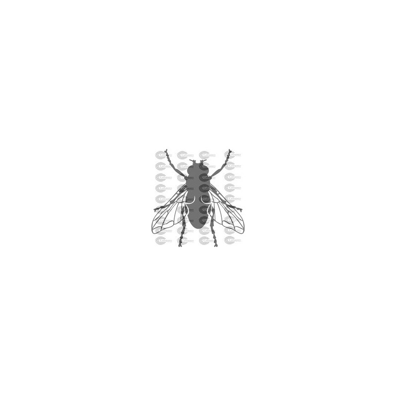 MOSCA