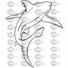 TIBURON