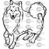 PERRO