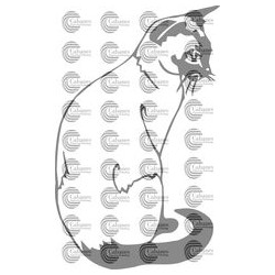 GATO