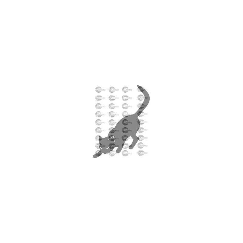 GATO