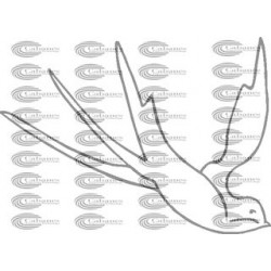 GOLONDRINA