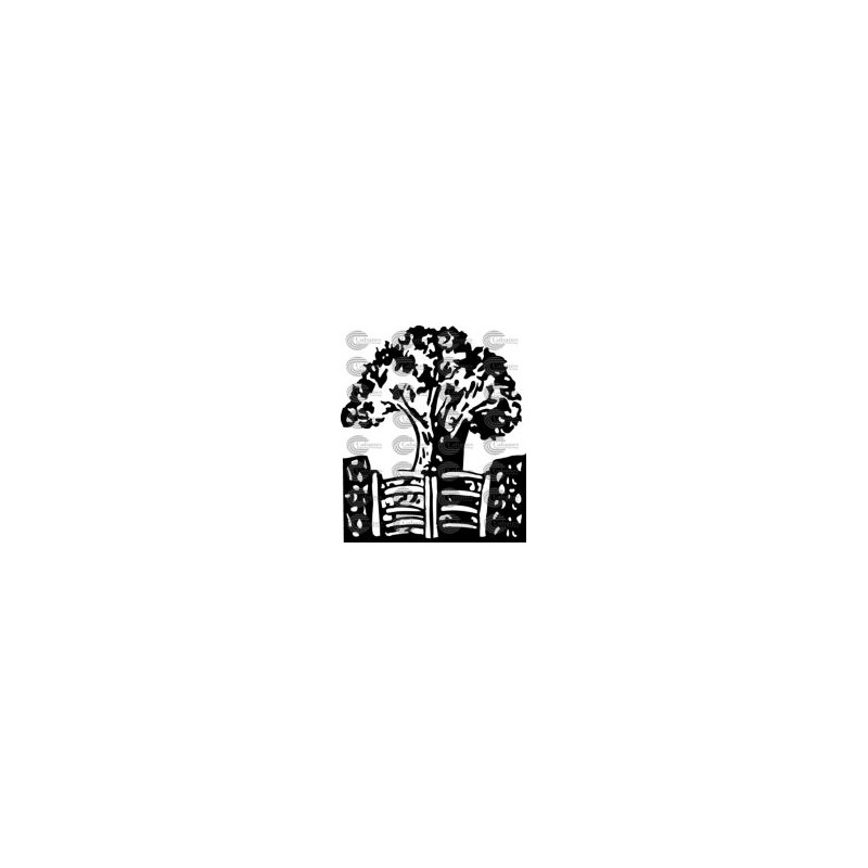 PAISAJE ARBOLES