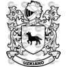 ESCUDO APELLIDO UZQUIANO