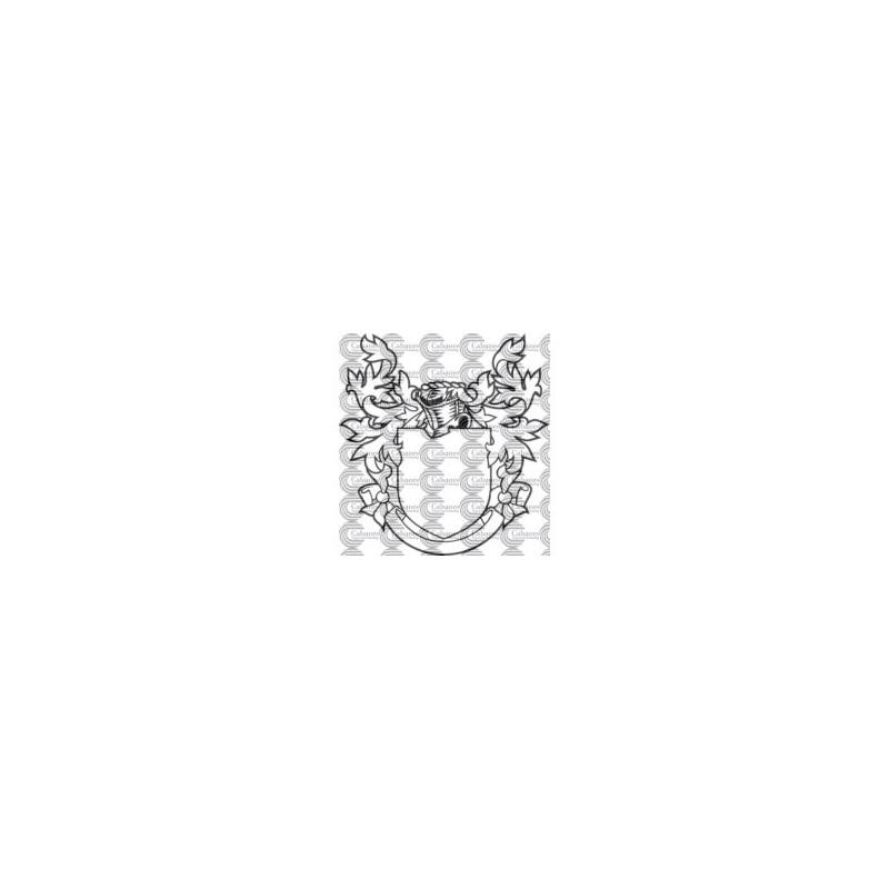 ESCUDO BASE