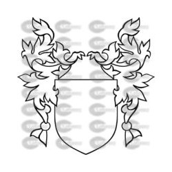 ESCUDO BASE