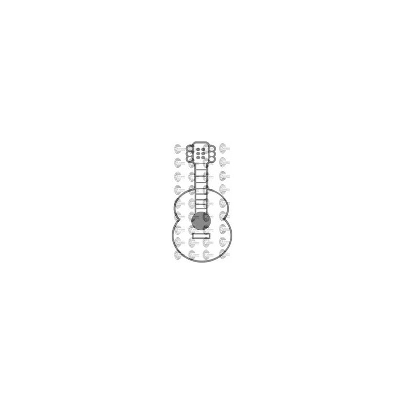 INSTRUMENTO GUITARRA ESPAÑOLA