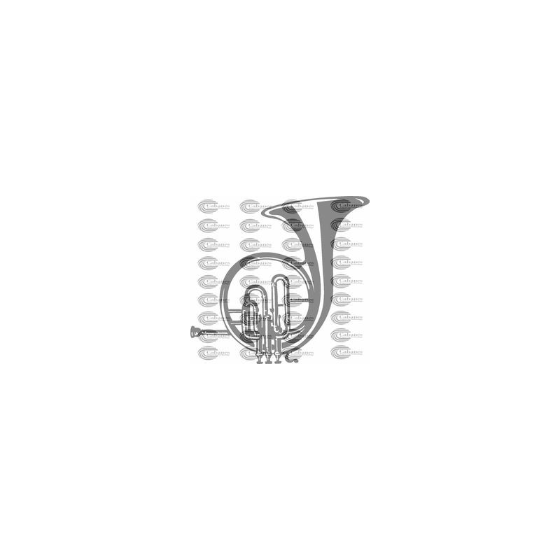 INSTRUMENTO TROMPA