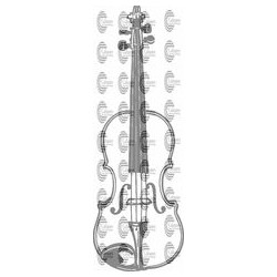 INSTRUMENTO VIOLIN