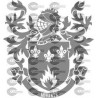ESCUDO HERALDICO APELLIDO MORANTE