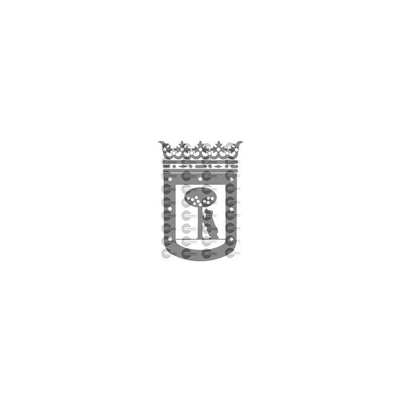 ESCUDO CIUDAD MADRID