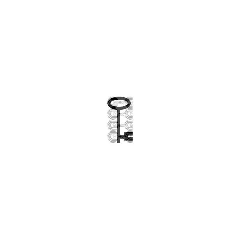 LLAVE